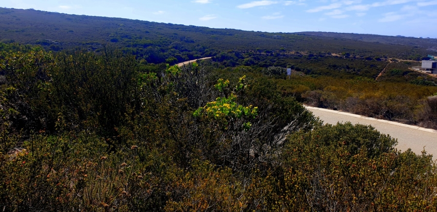 Commercial Property for Sale in Paradise Coast Western Cape